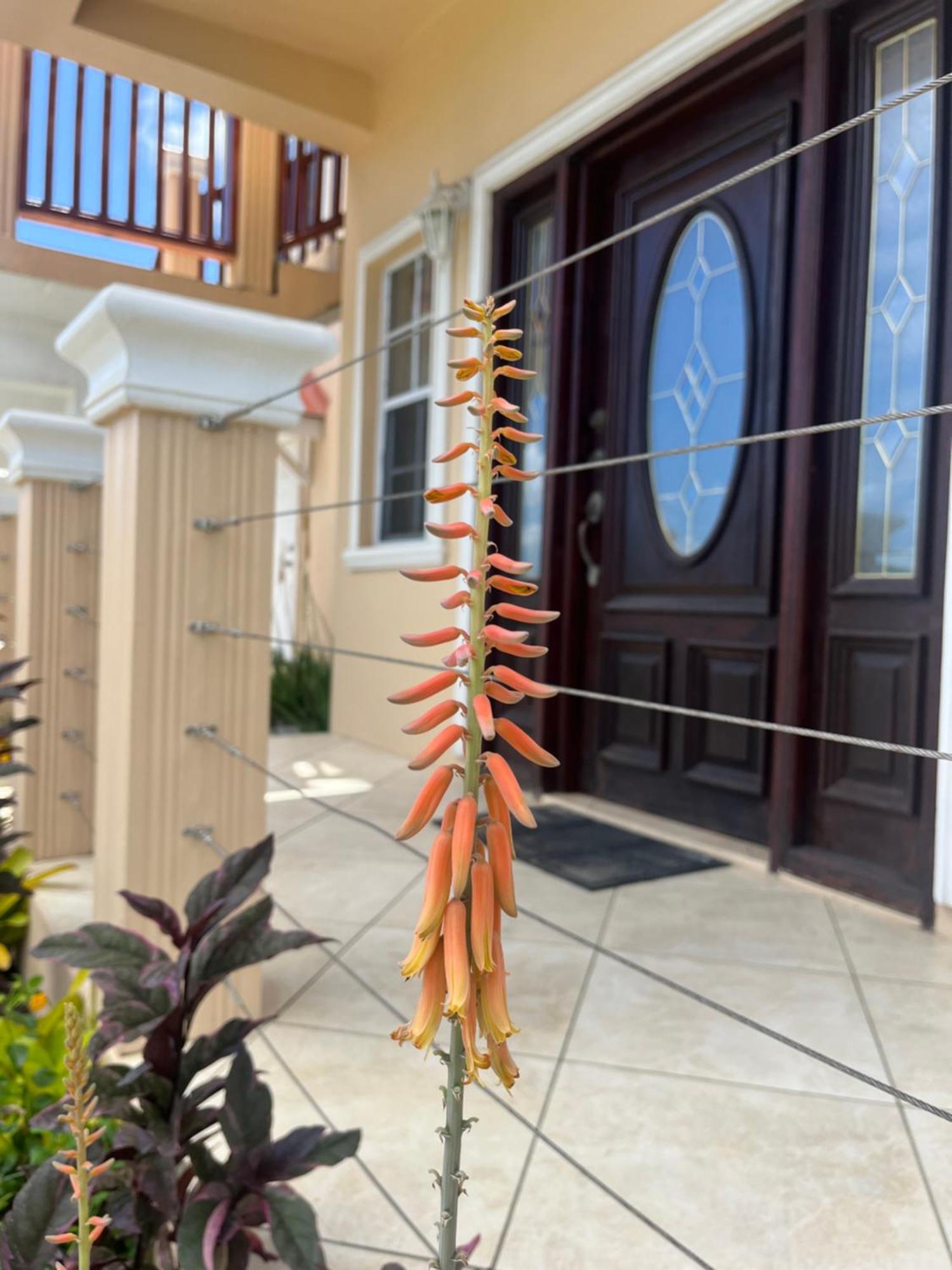 Belle Breeze Haven Apartment Gros Islet Luaran gambar