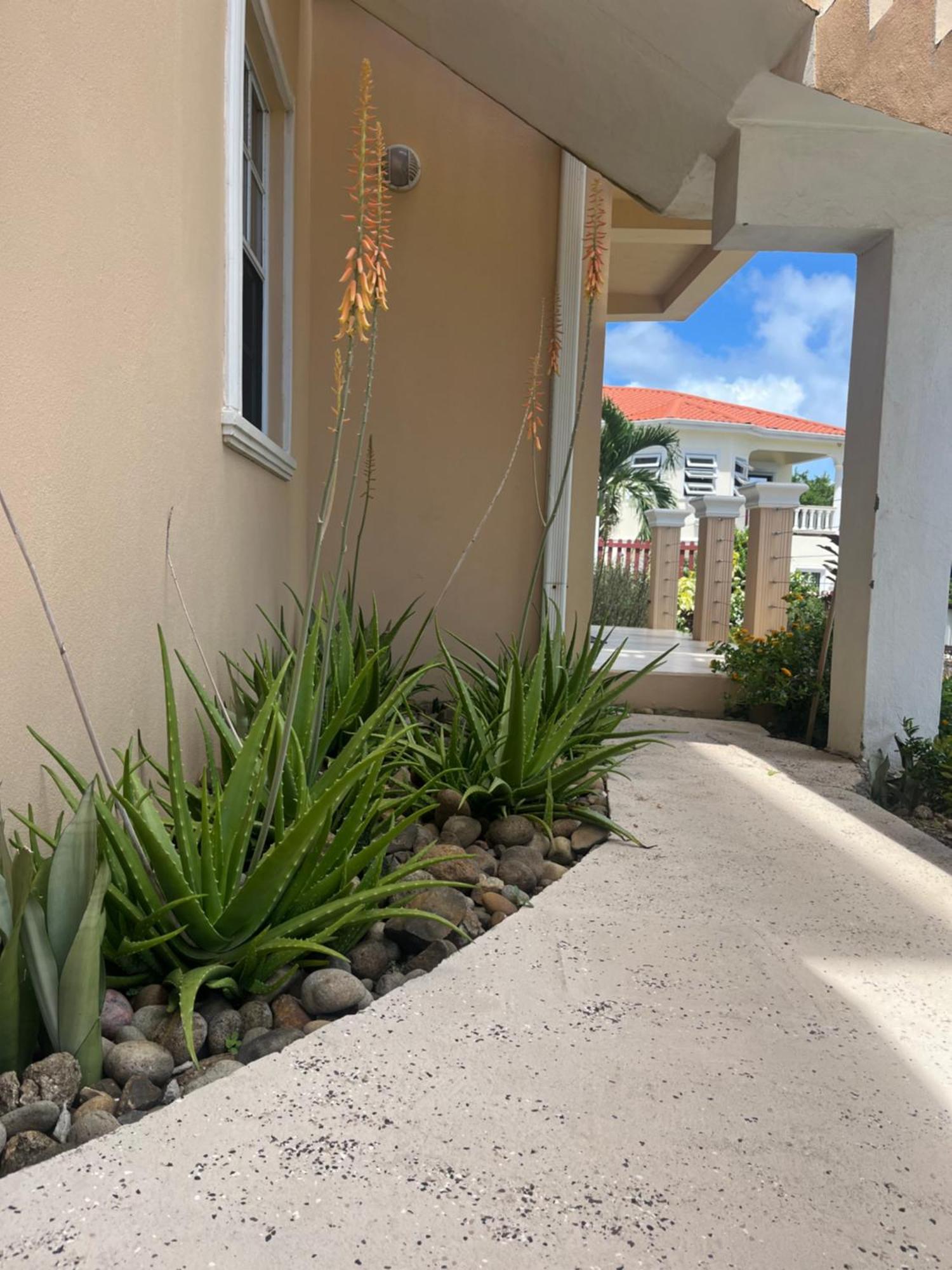 Belle Breeze Haven Apartment Gros Islet Luaran gambar