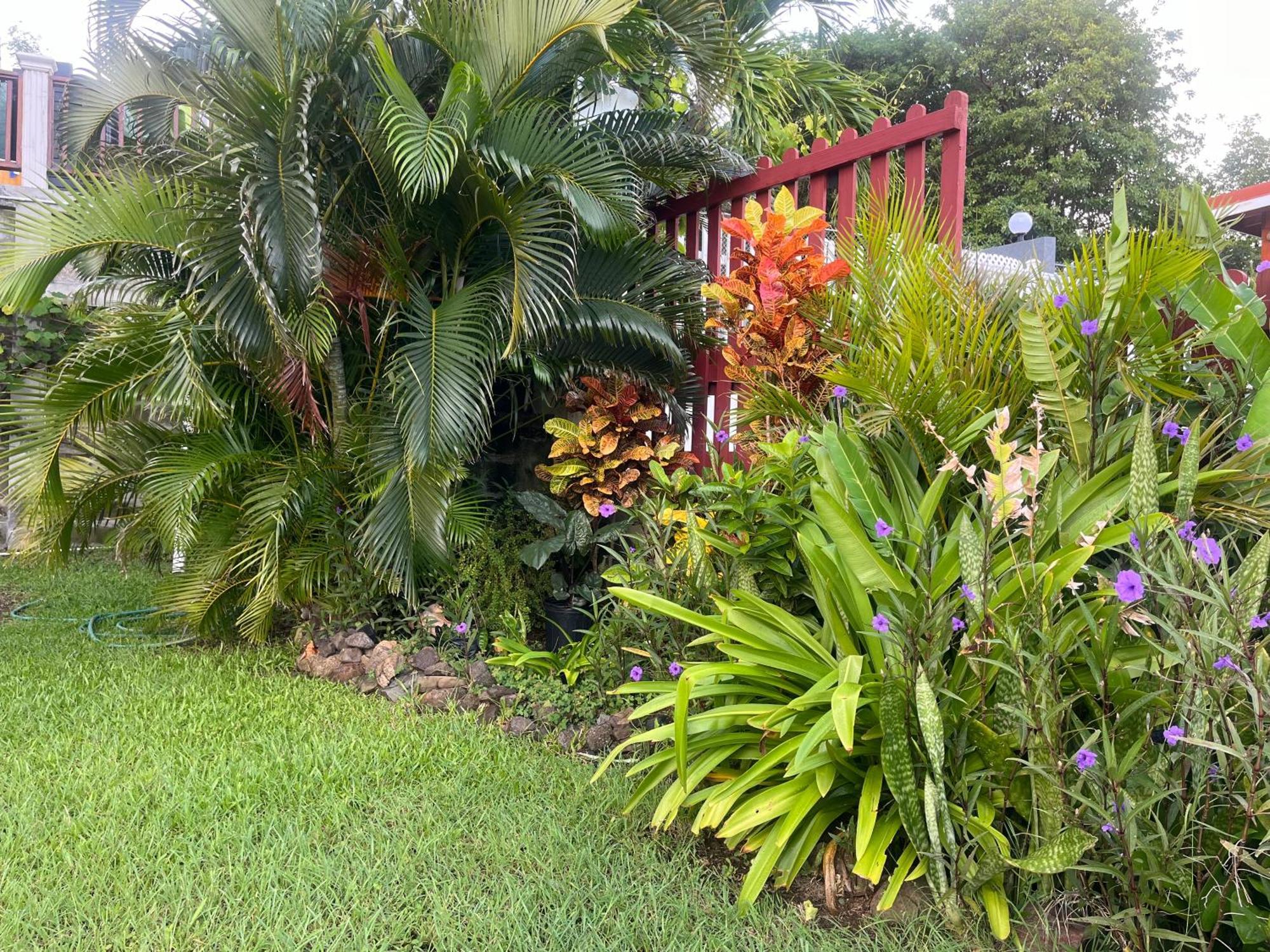Belle Breeze Haven Apartment Gros Islet Luaran gambar